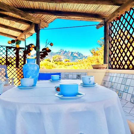 Three Bedroom Sea View In Cala Granu Shared Pool 200m From The